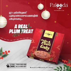 Plum cake by palooda